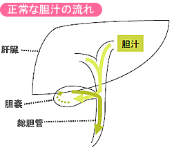 対象疾患・診療内容 - 独立行政法人国立病院機構 長崎医療センター