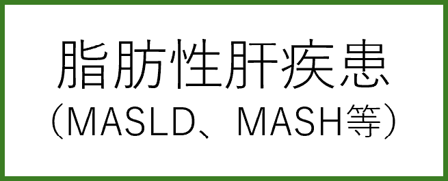 脂肪性肝疾患（MASLD、MASH等）